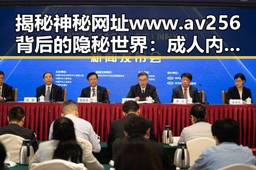 揭秘神秘网址www.av256背后的隐秘世界：成人内容与网络监管的角力