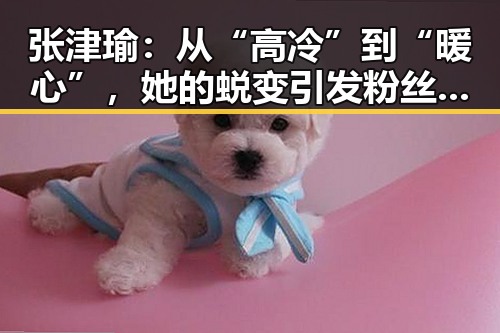 张津瑜：从“高冷”到“暖心”，她的蜕变引发粉丝关注